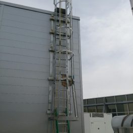 STEEL LADDER