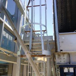 STEEL LADDER WITH CAGE